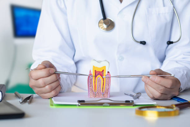 Best Broken Tooth Emergency  in Andrews Af, MD